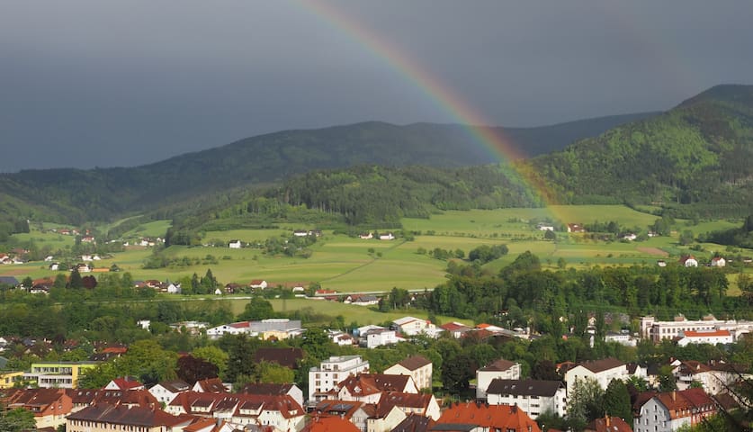 Waldkirch的民宿