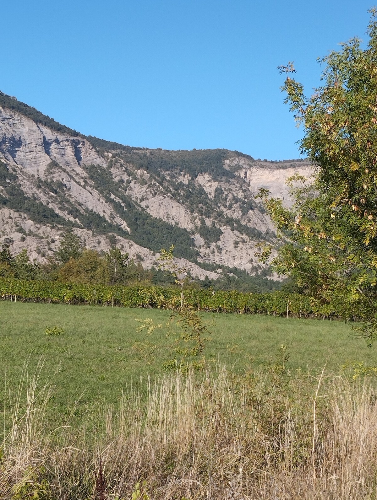 Belle maison de campagne