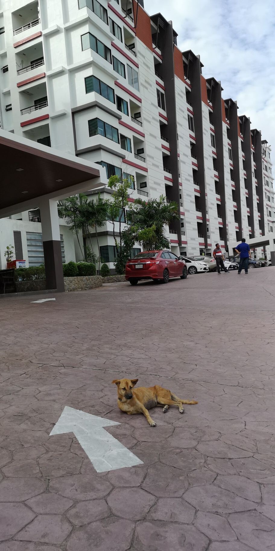 当地人最喜欢的公寓(随心爱寓1)可看到海景及普吉市景，中文服务，贴心管家