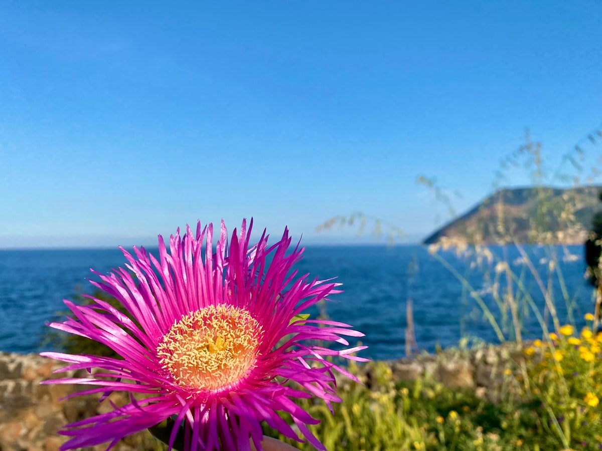 Vulcano Apartment Sea View