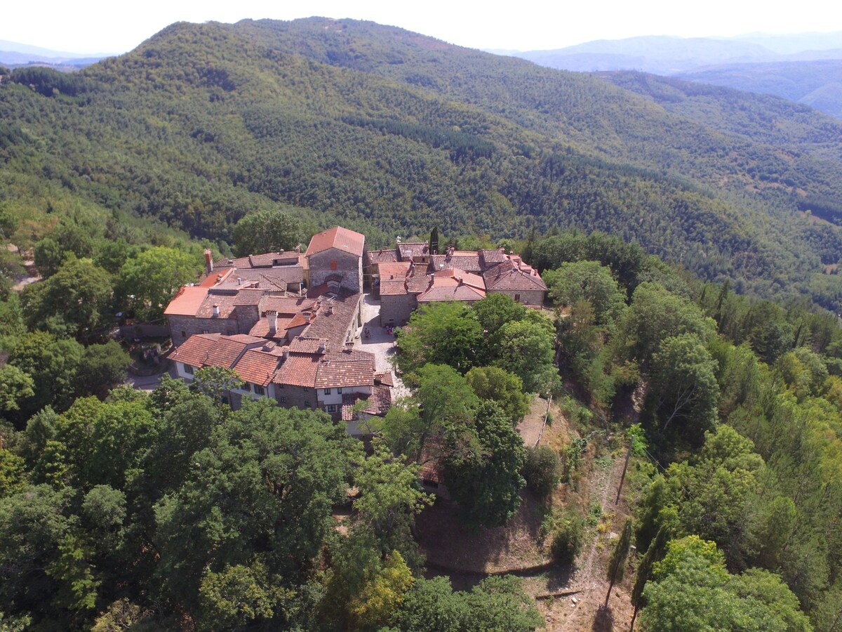 Castello di Sarna, Casentino Arezzo,  Etrusco