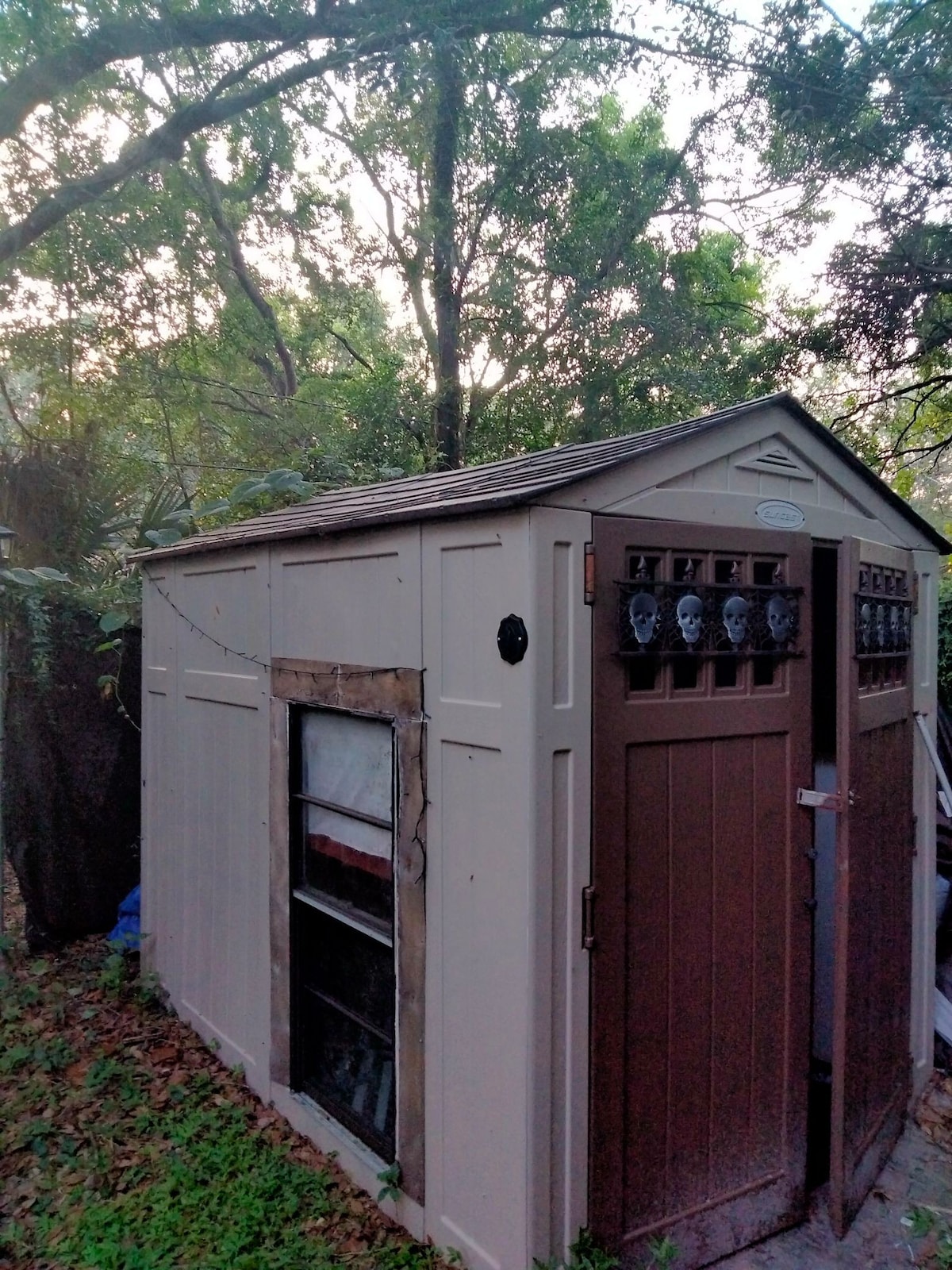 Creepy mini cottage/Bed n'the Shed