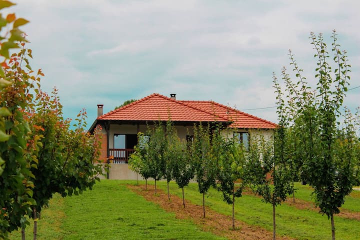 Mala Vrbica的民宿
