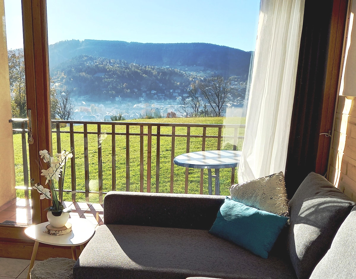 STUDIO BALCON JOLIE VUE ptite chb XETTES GERARDMER