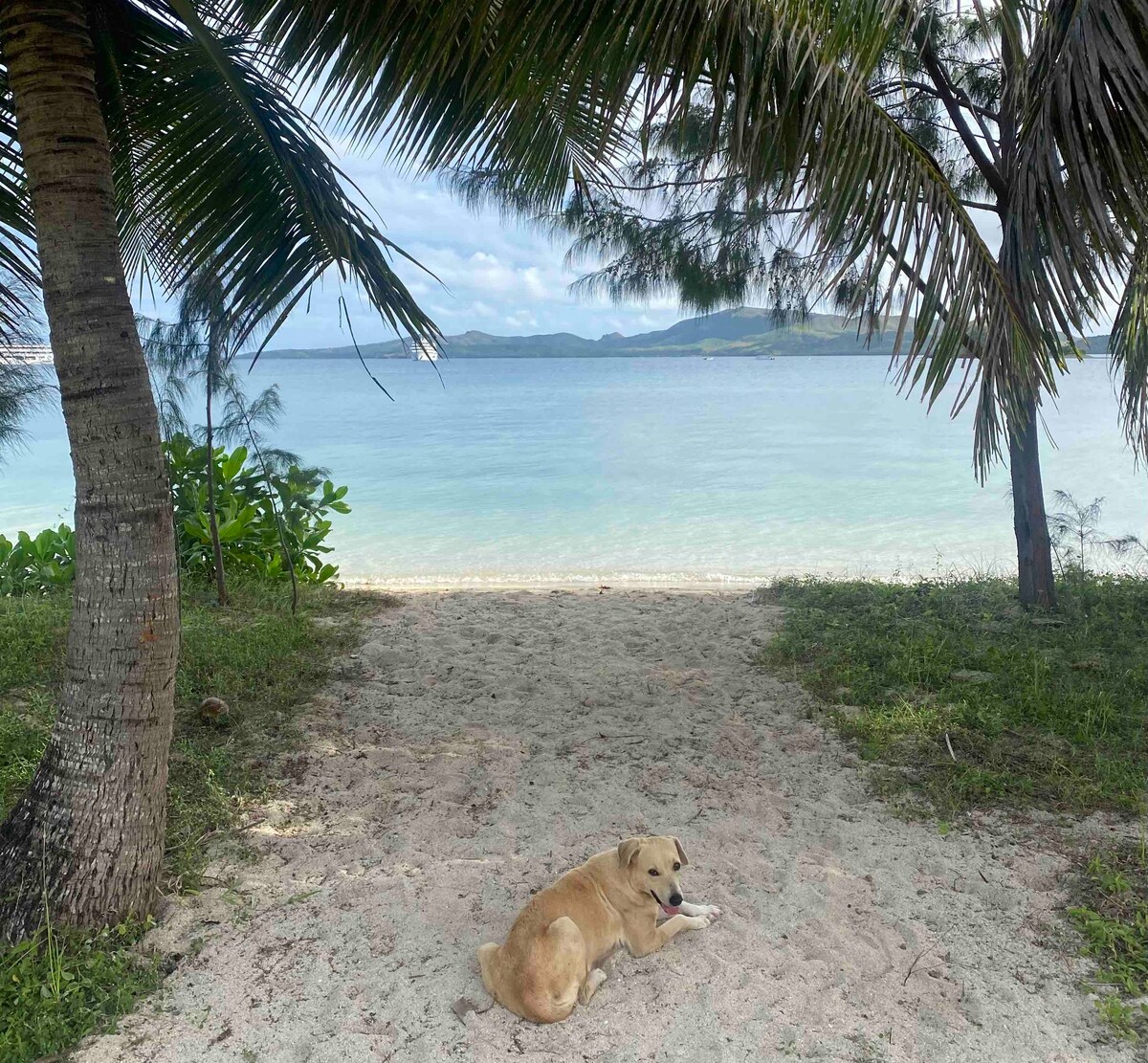 Beach Front Access with Scenic Views