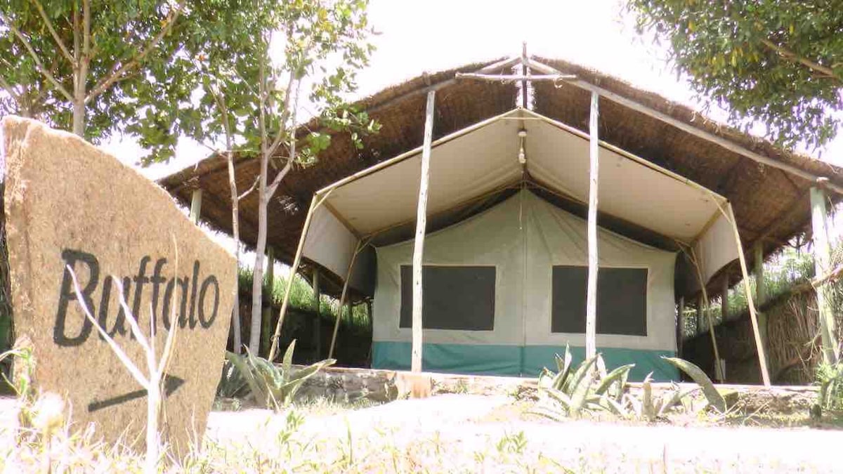 Sekenani门附近Mara Silalei的Buffalo Tent