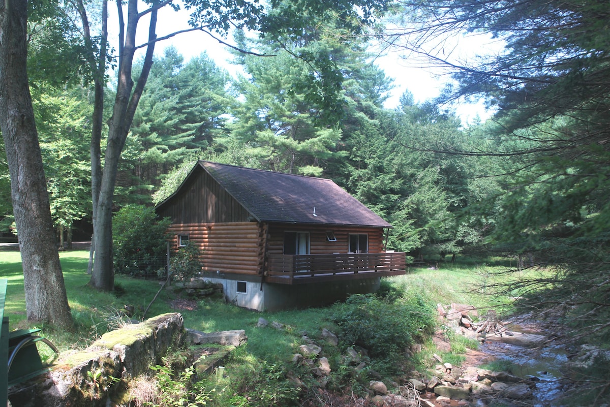 Coleman Creek小木屋，库克森林