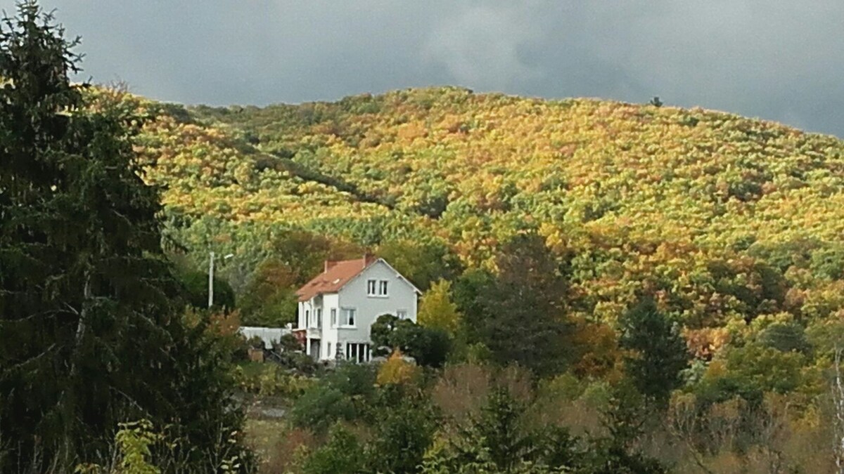 maison avec vue exceptionnelle sur Chatel Guyon