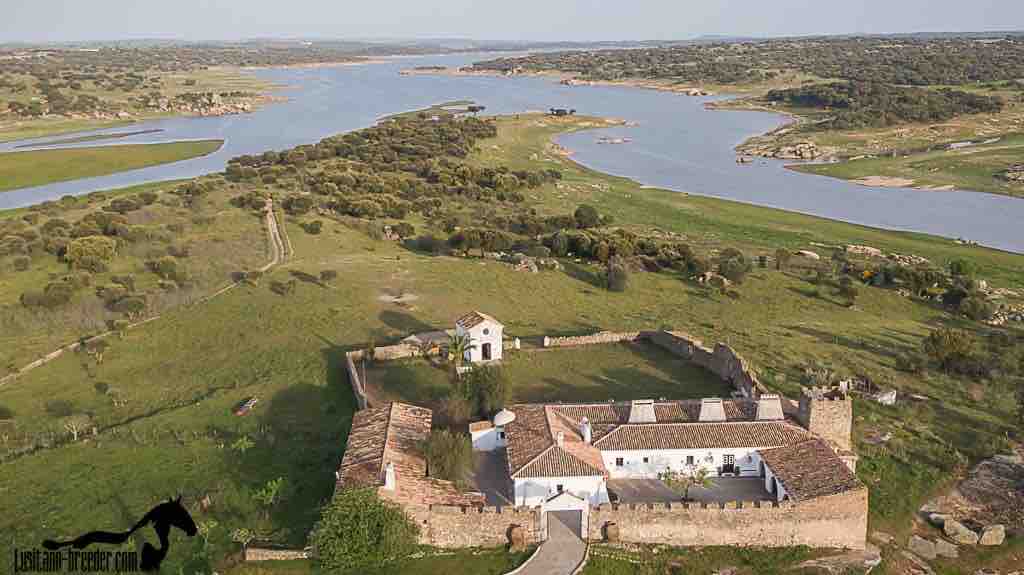 Zambujal Horses & Nature. House t1. Alentejo.