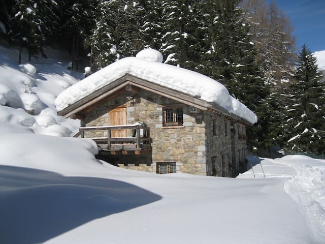 蓬泰迪莱尼奥 (Ponte di Legno)的民宿