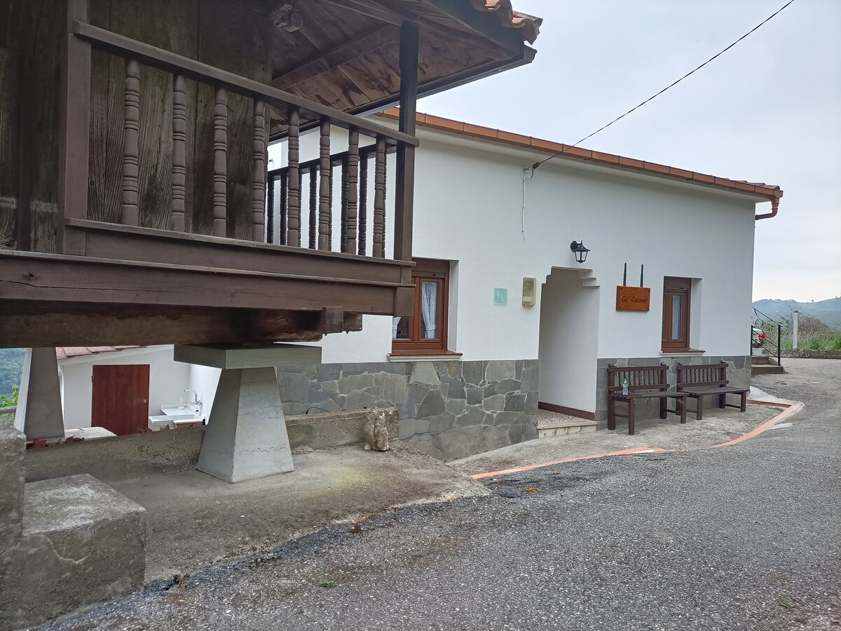 Asturias Cauneo的乡村别墅