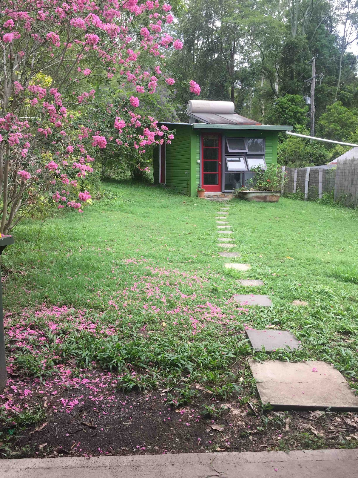 靠近宁岩（ Nimbin Rocks ）的地球天堂单间公寓，郁郁葱葱的自然风