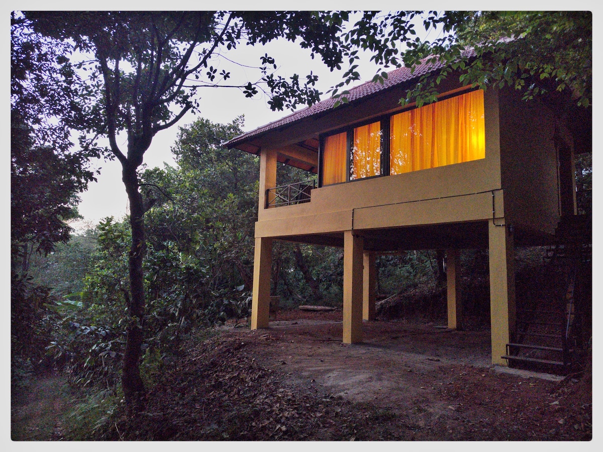 Independent cottage with forest view.