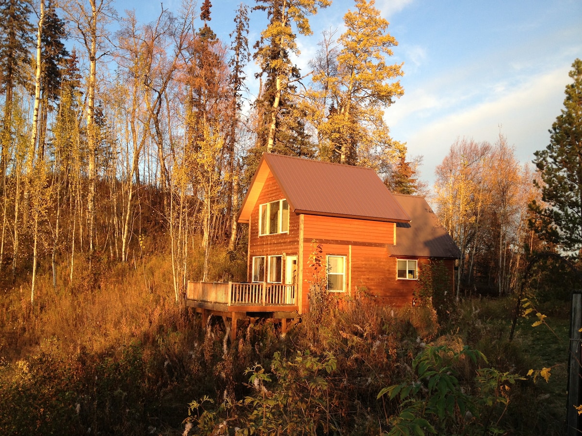 山谷上方-德纳利（ Denali ）景观温馨小屋