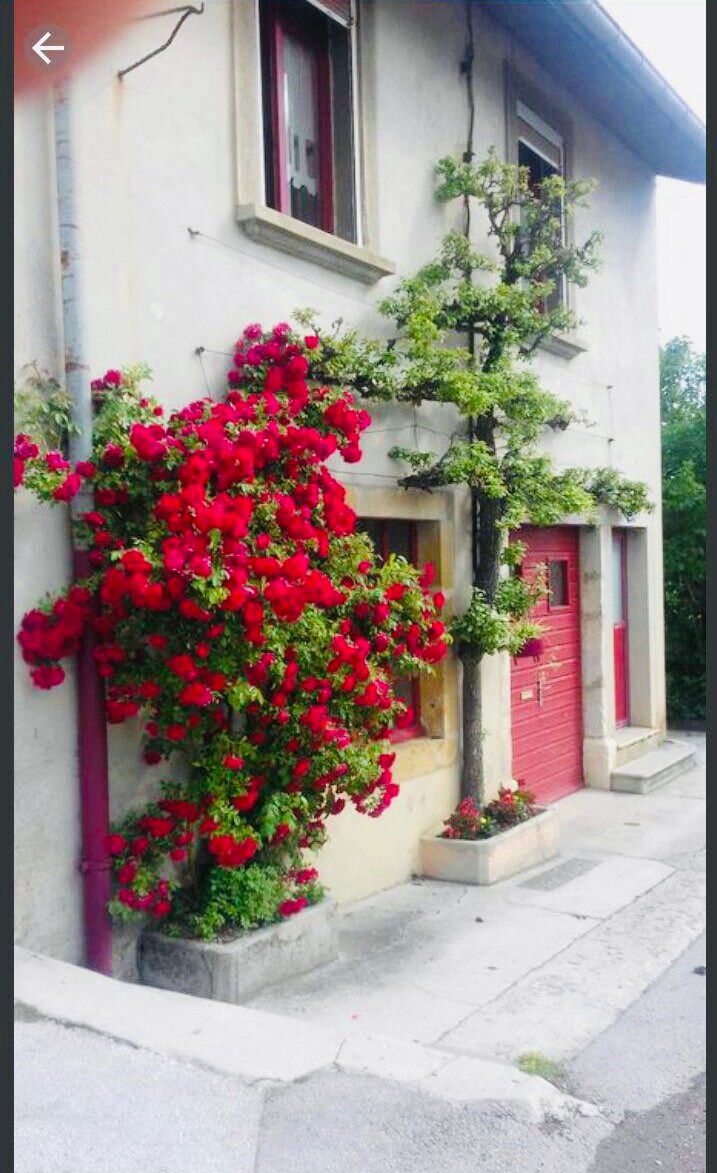La Maison de Rose
