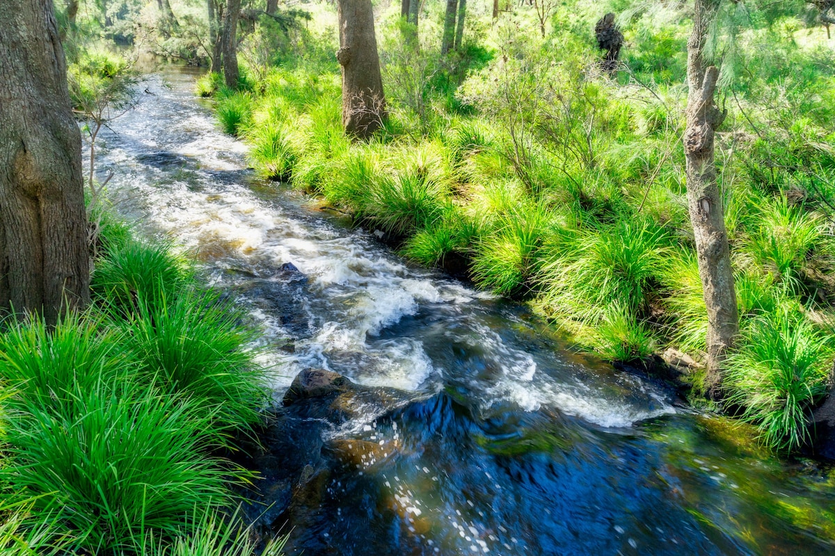 The Junction Canyonleigh. Idyllic Weekends