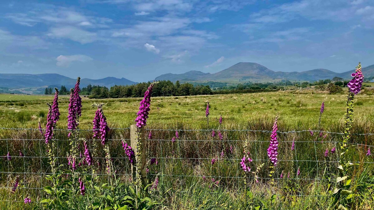 Between Sea and Mountain Moel yr Ogof Glamping Pod