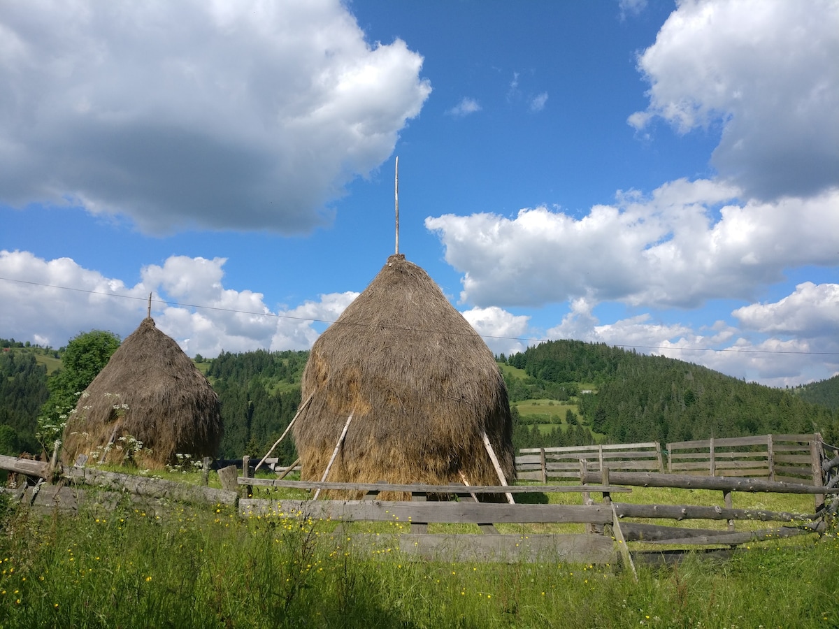 在阿普塞尼自然公园（ Natural Park of Apuseni ）活动