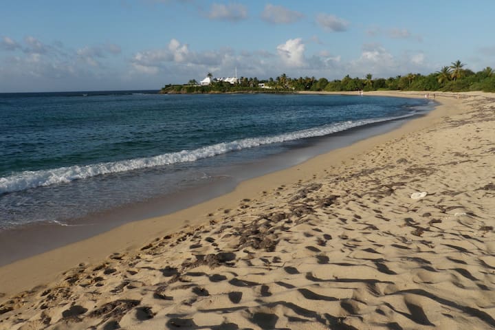 克里斯琴斯特德(Christiansted)的民宿