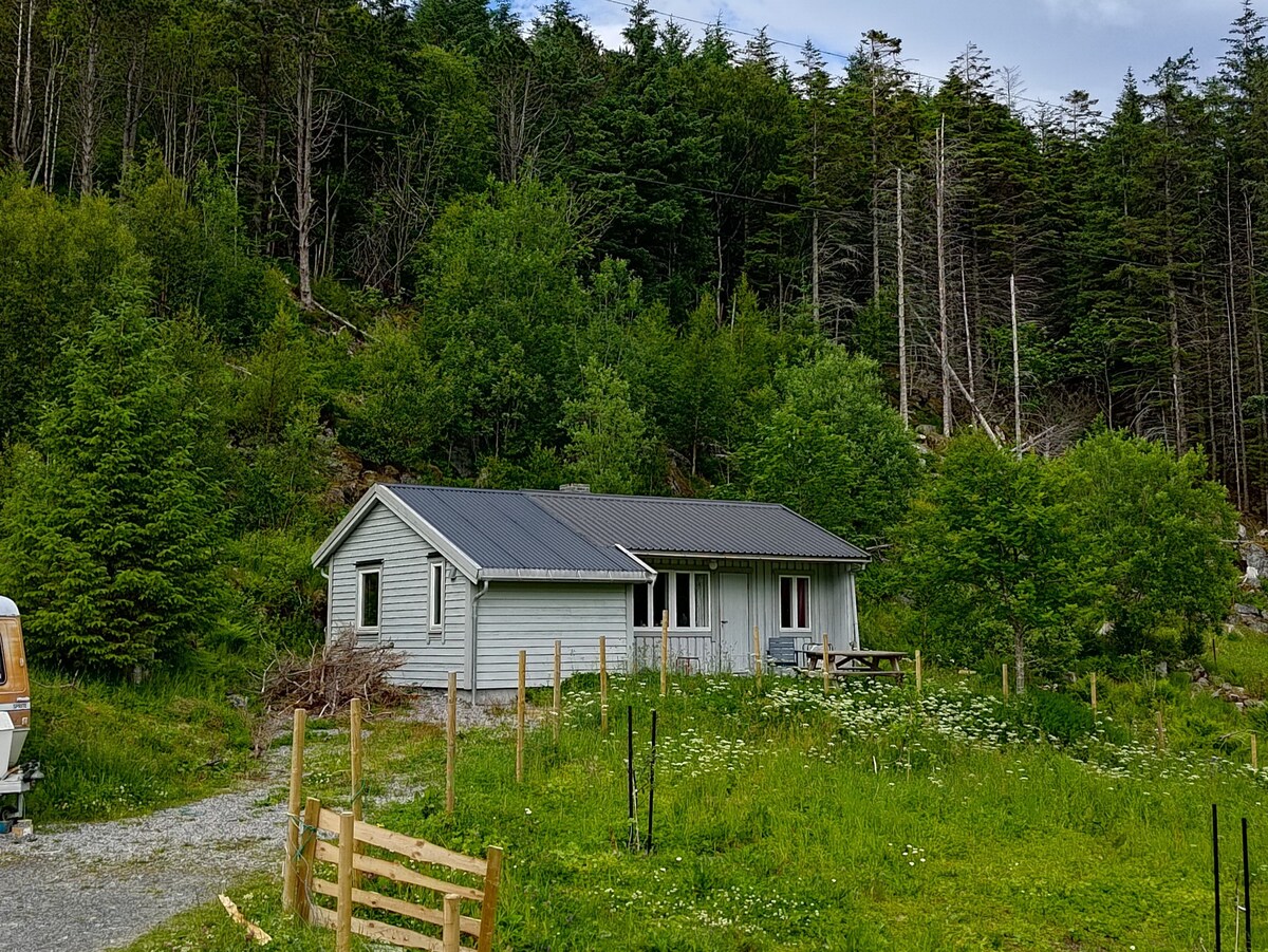 位于Ervikstranden小农场的舒适小屋