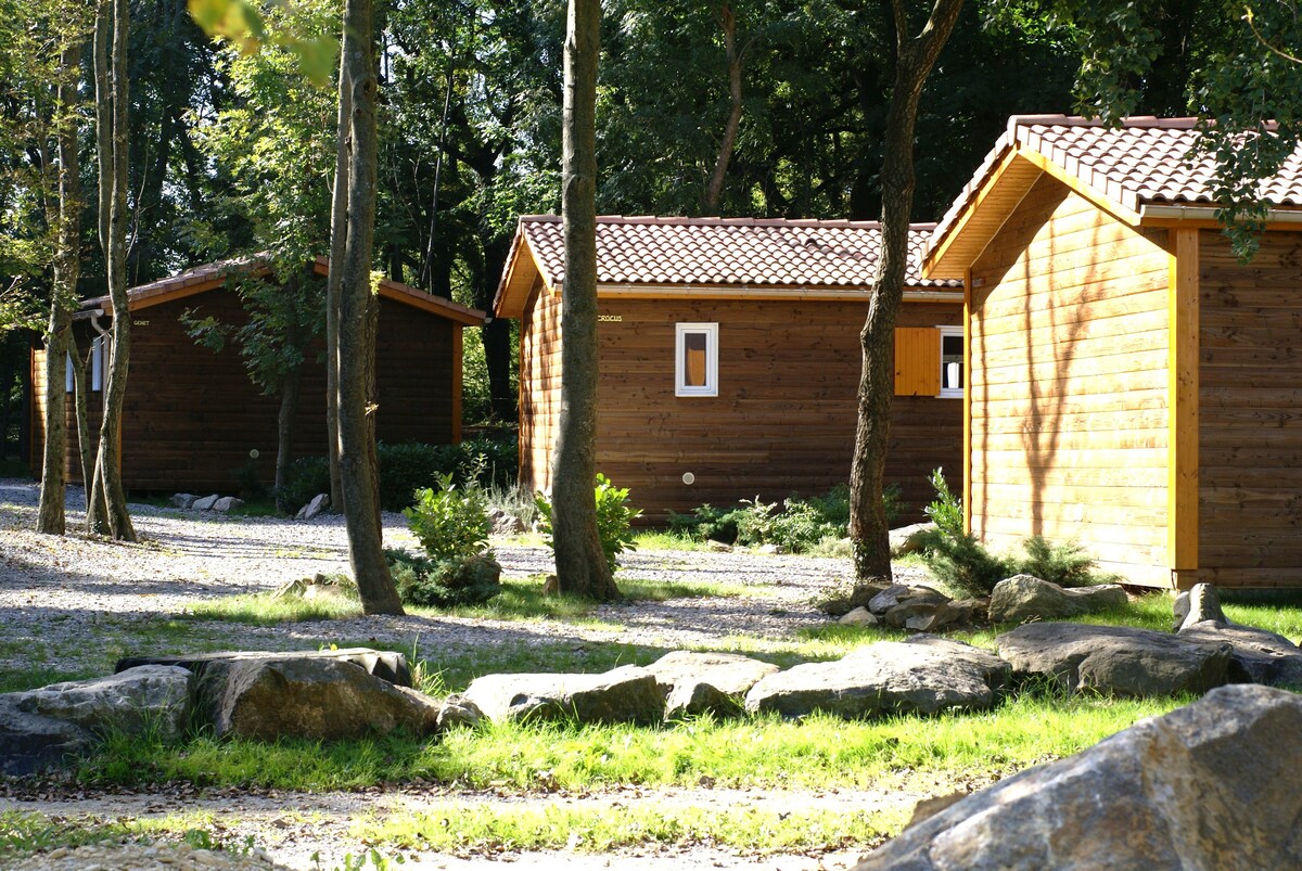 Petit chalet bois sur domaine idyllique