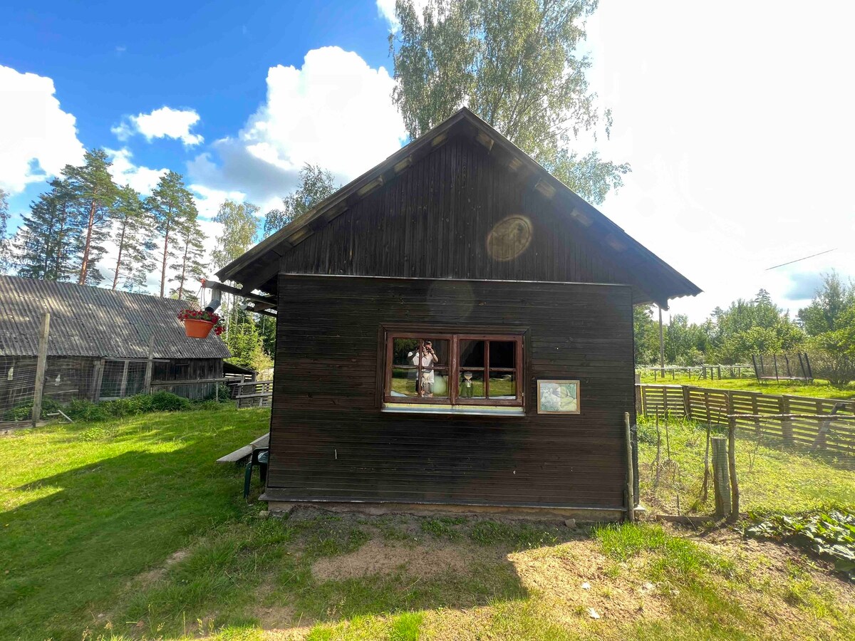 Elf house Sauna Jakuzzi