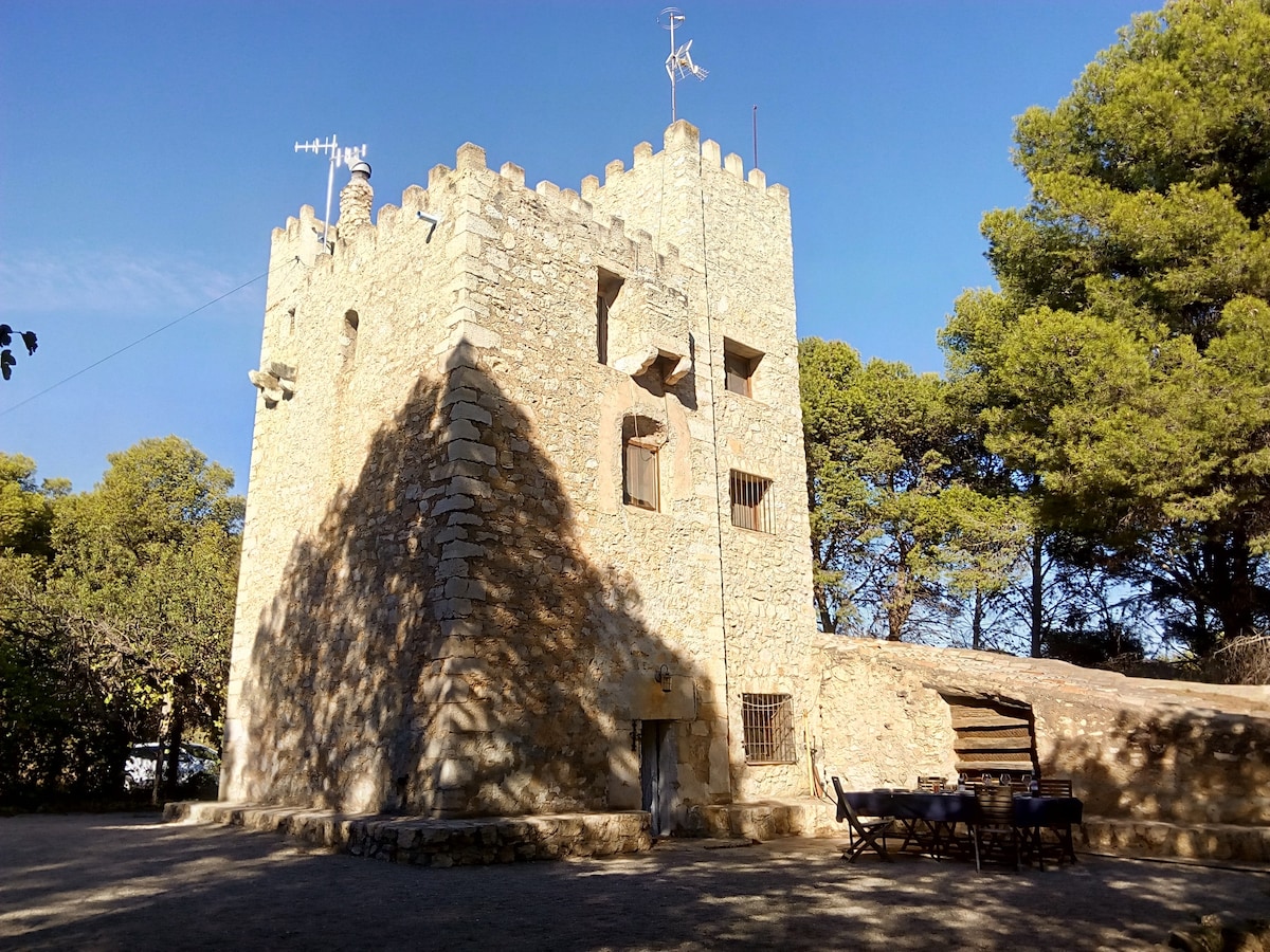 海边的中世纪防御塔