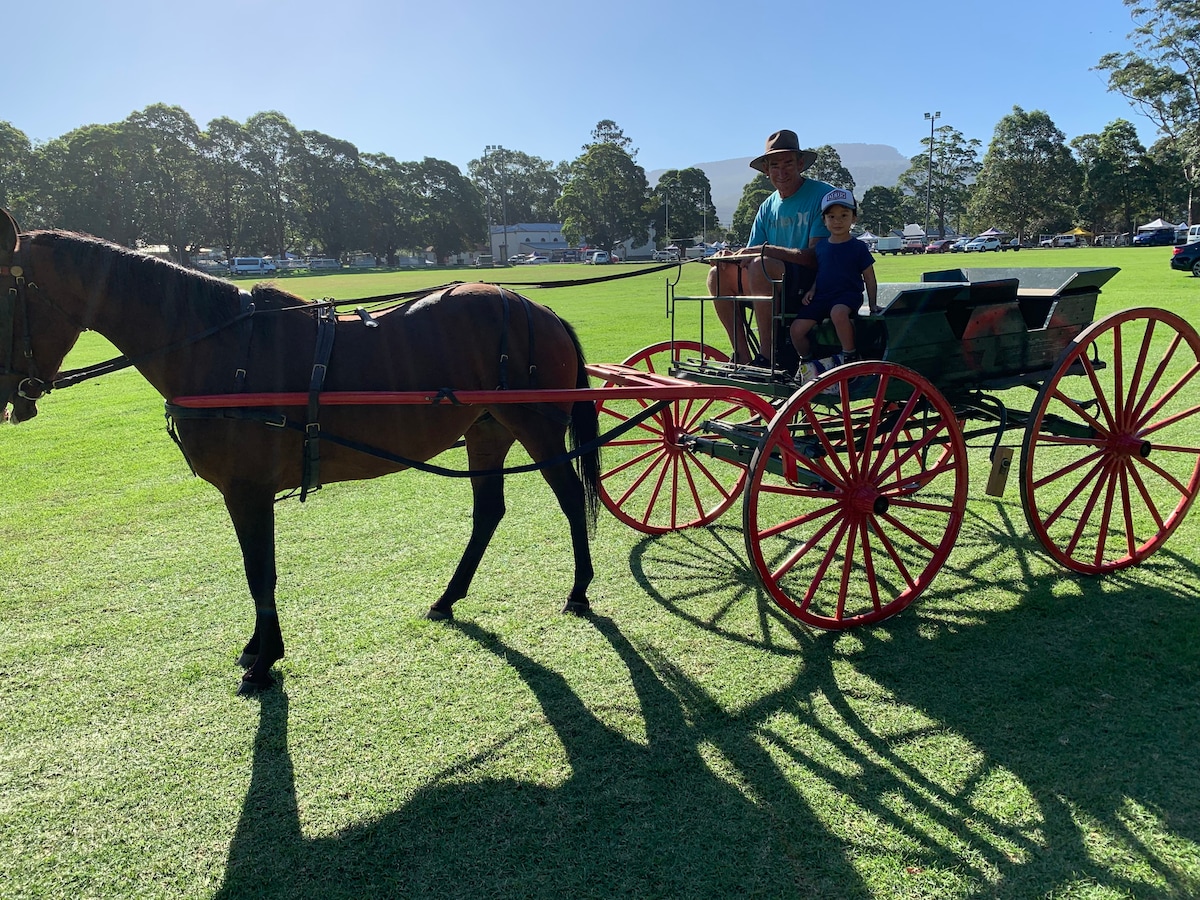 Peppergrove Farm Stay, Berry