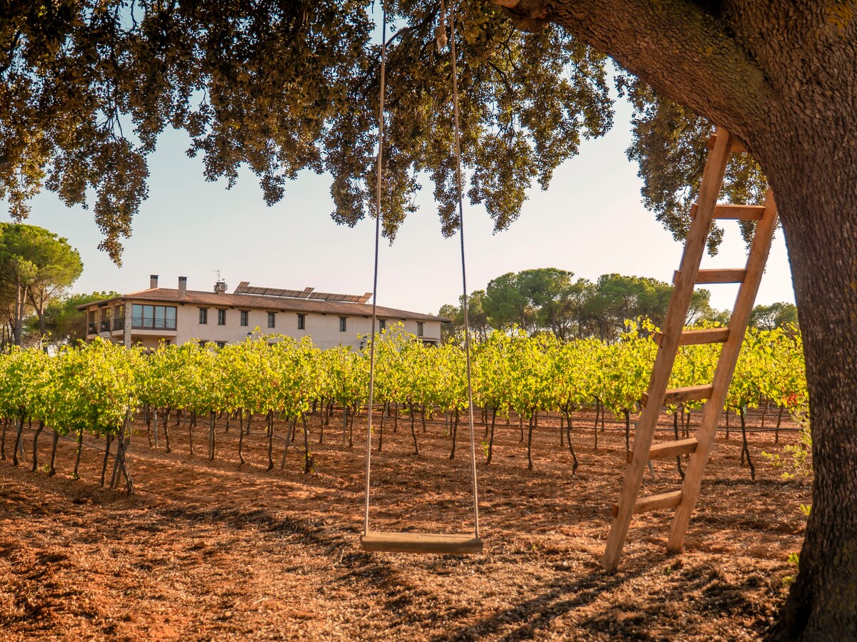 Casa Rural in Bodega. Vitis 's Inn