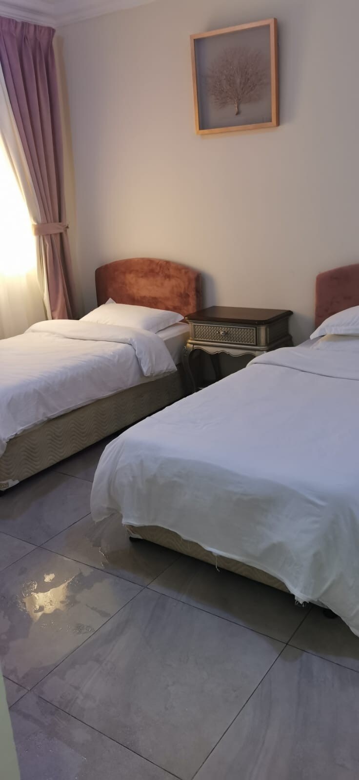Hotel apartment(bed speac