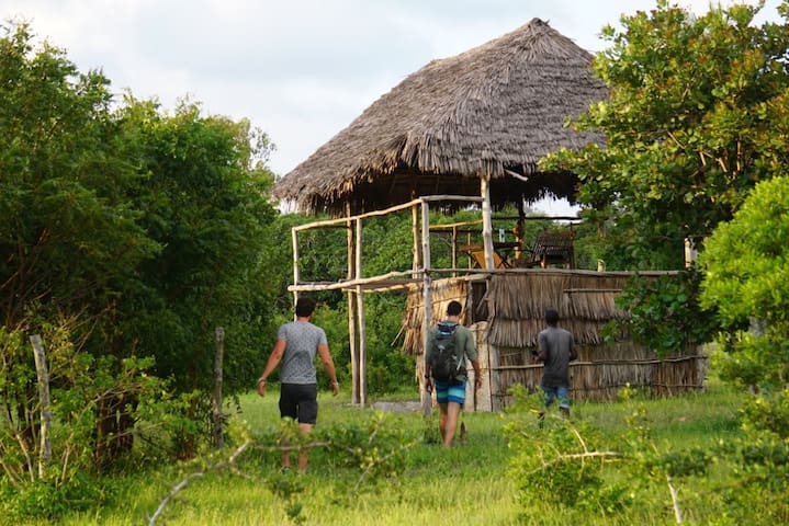 瓦塔穆(Watamu)的民宿