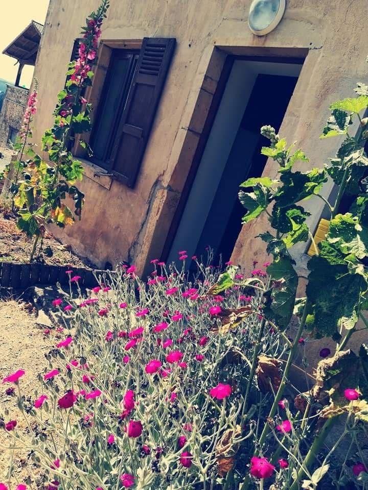 Maison de charme, 65km de Lyon,  Haut Beaujolais.