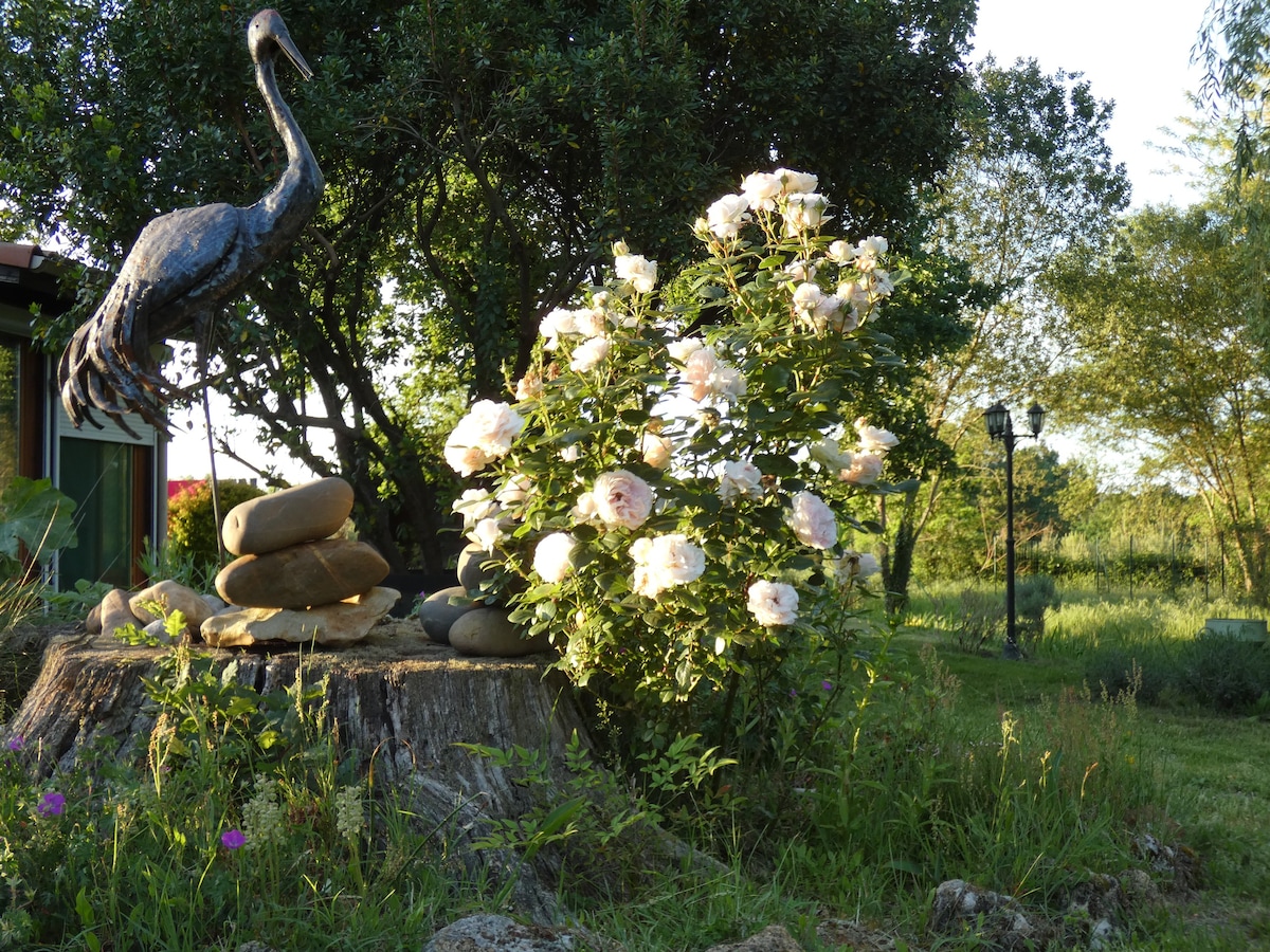 Chalet nature au coeur des Landes