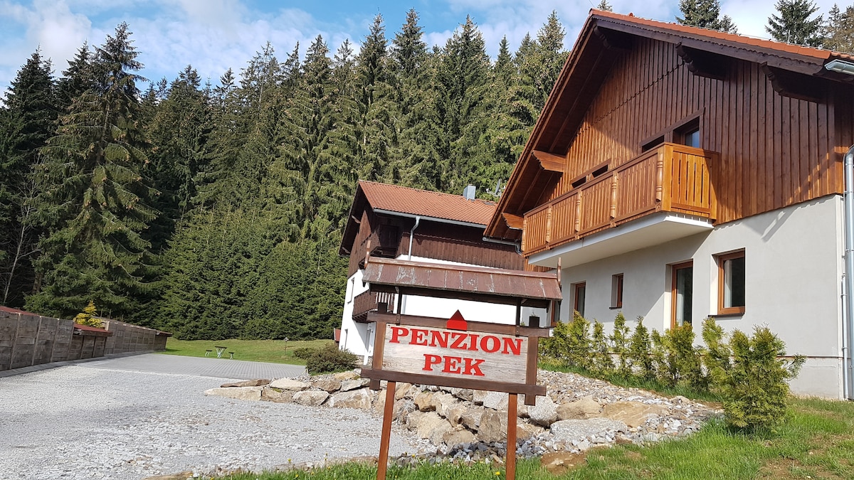 Pension Pek-Šumava-Boubín
可供2人入住的公寓