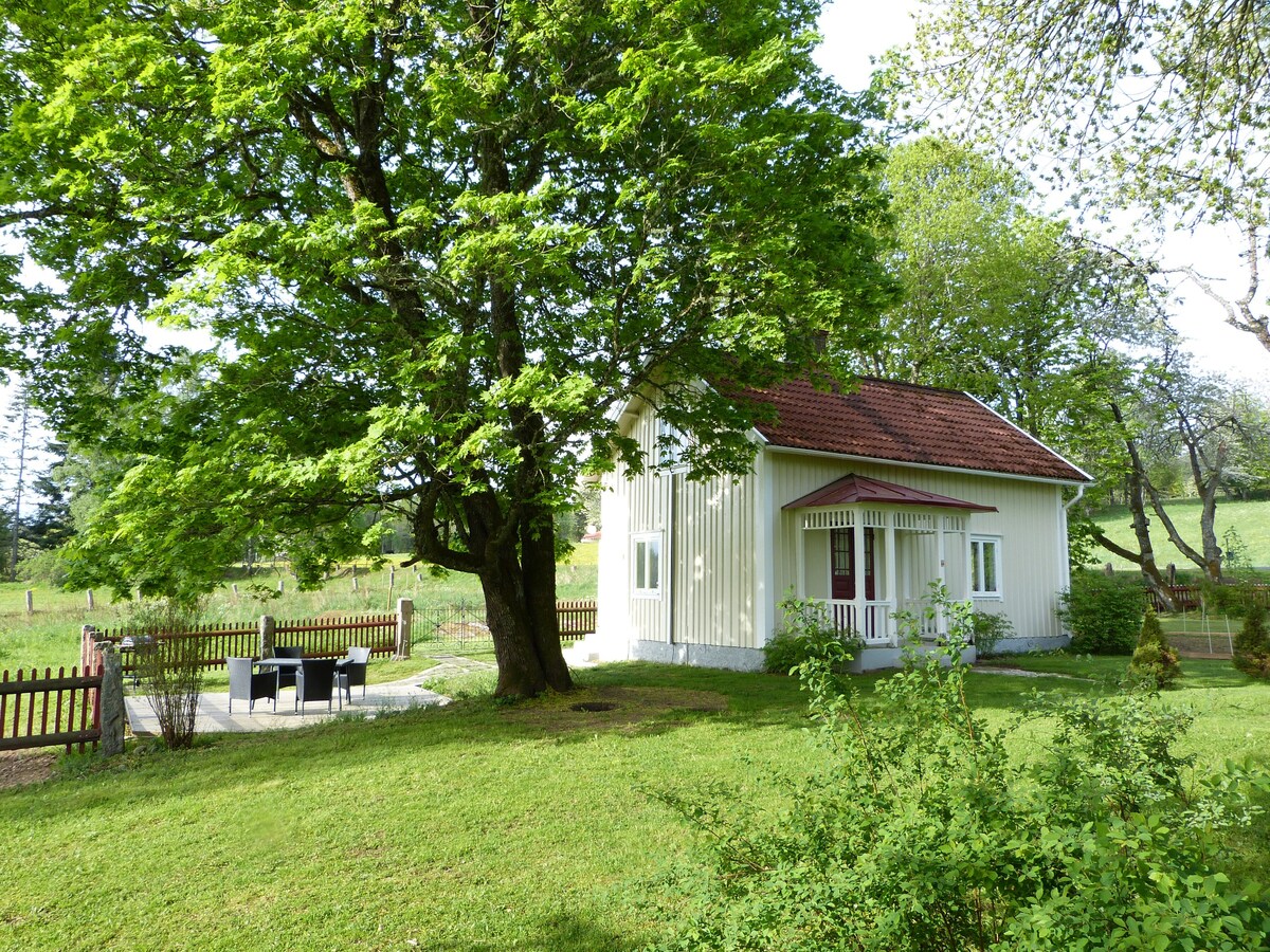 您在瑞典乡村的您自己的房子