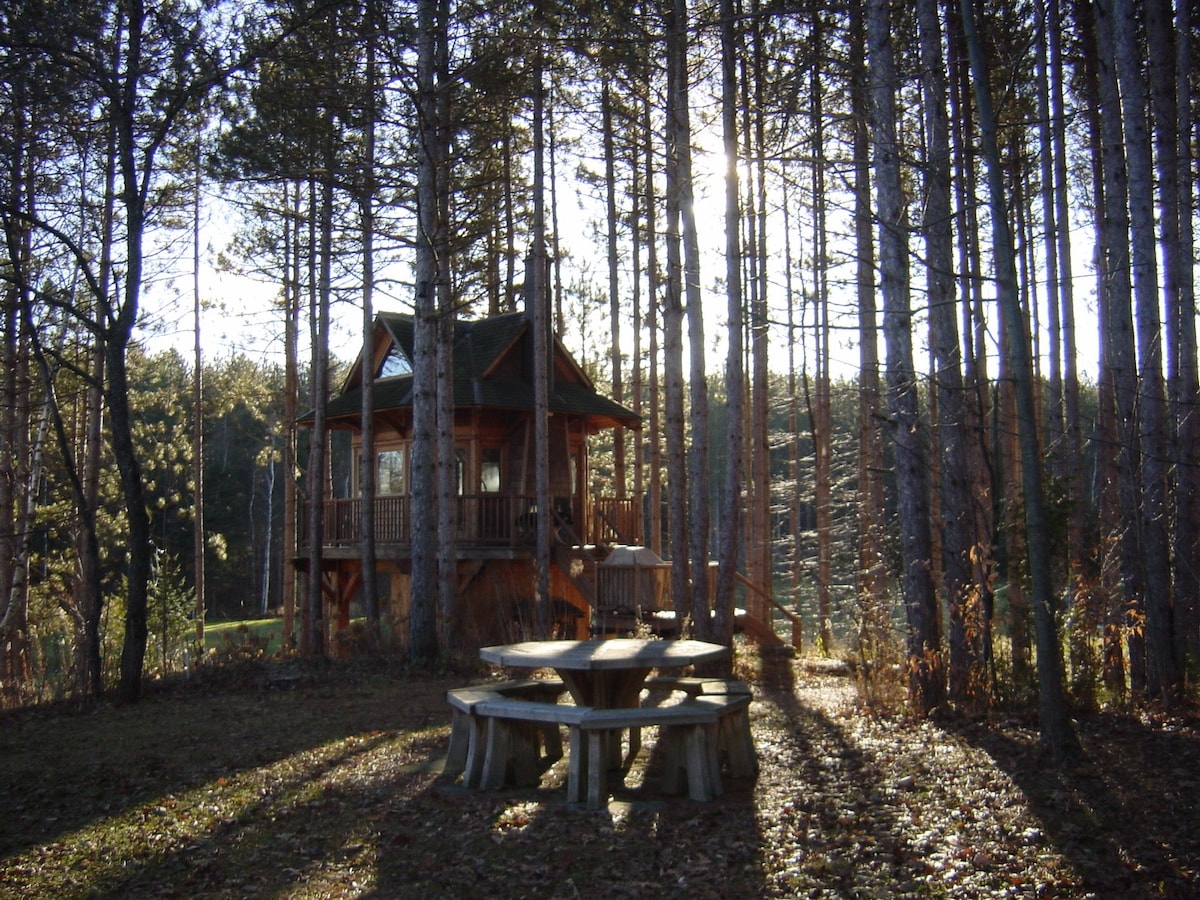 树屋，位于私密、与世隔绝的森林（ 300英亩）