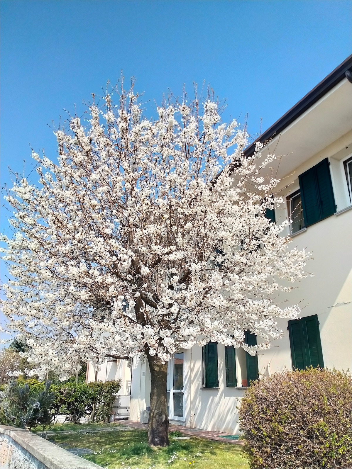 舒适的住所，让您在特雷维索住宿愉快！