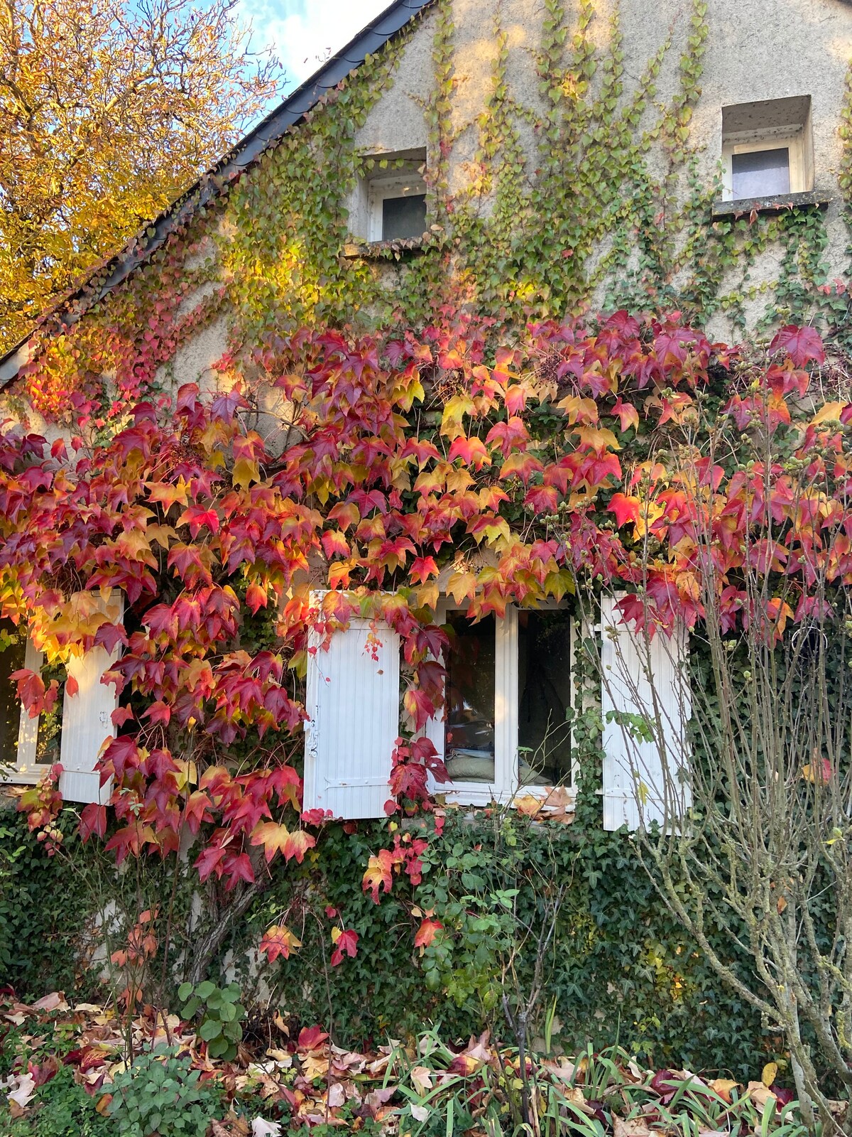 Le Colombier - Maison de famille (proche Chambord)