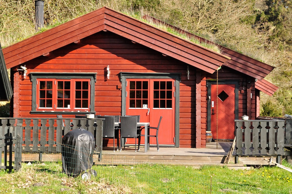 可欣赏峡湾景观的挪威原木住宅