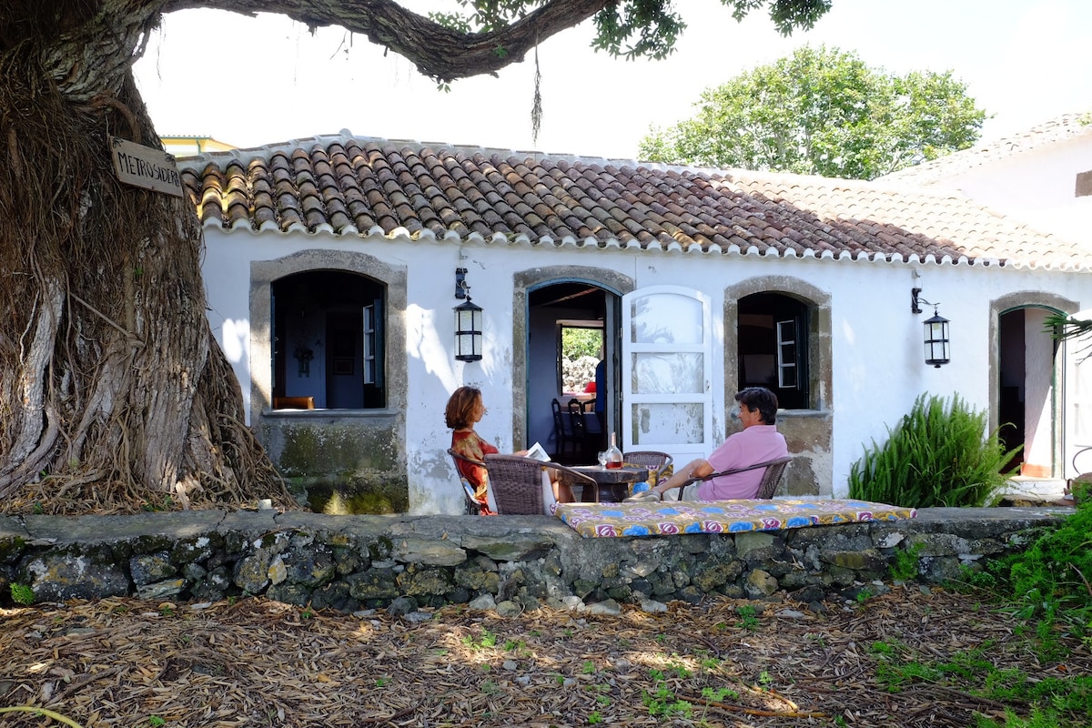 亚速尔群岛海滨村庄的舒适家庭住宅