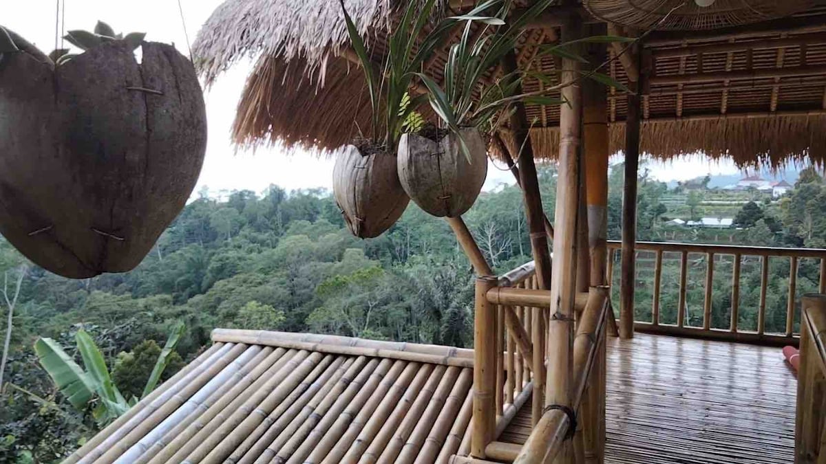 Bamboo House ：令人叹为观止的疗愈场所