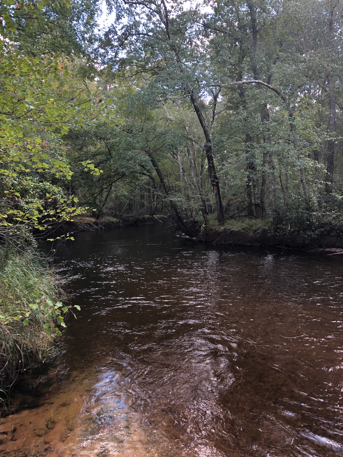 River 's Edge Cabin III