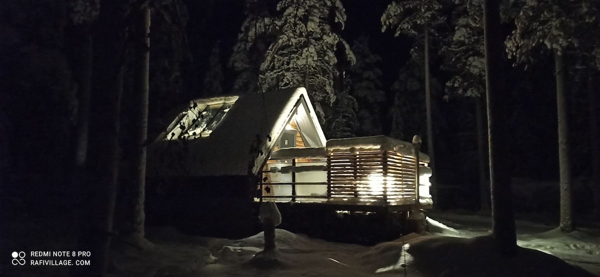 Rafi - Aurora Cabin 4