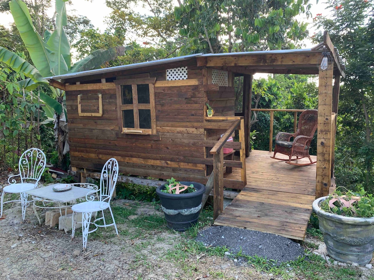 Cabaña “Guara-Wao” en Mi Casa Eco-Camping