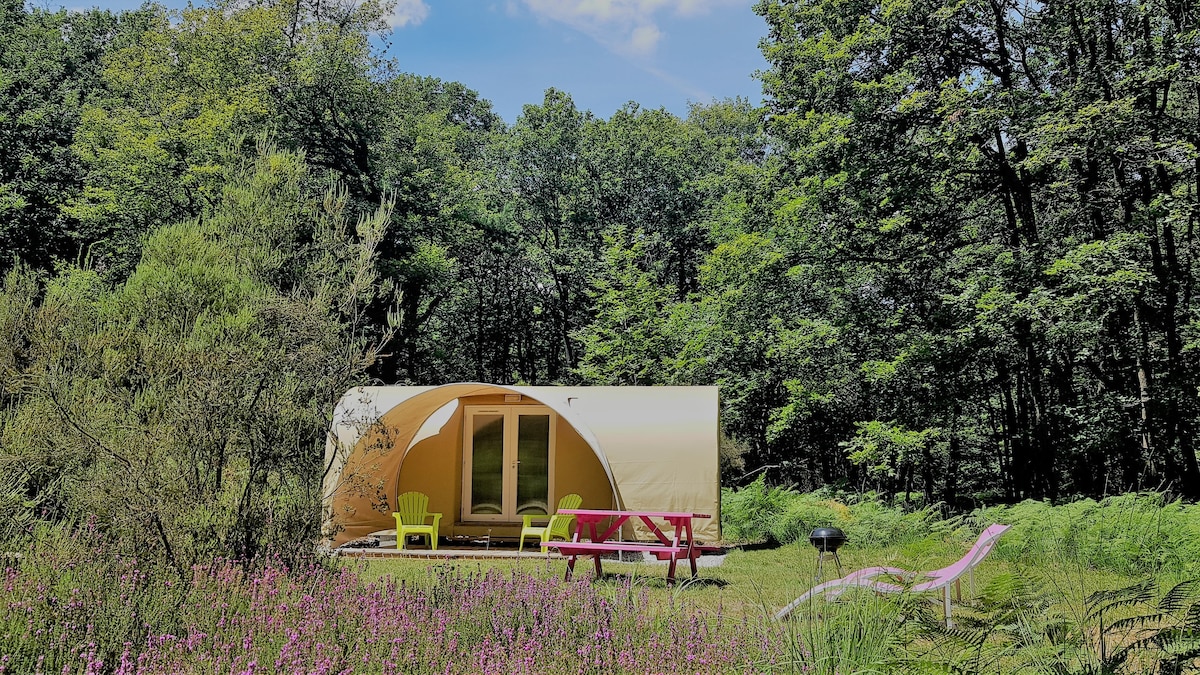 Glamping pod on 3 star campsite with pool