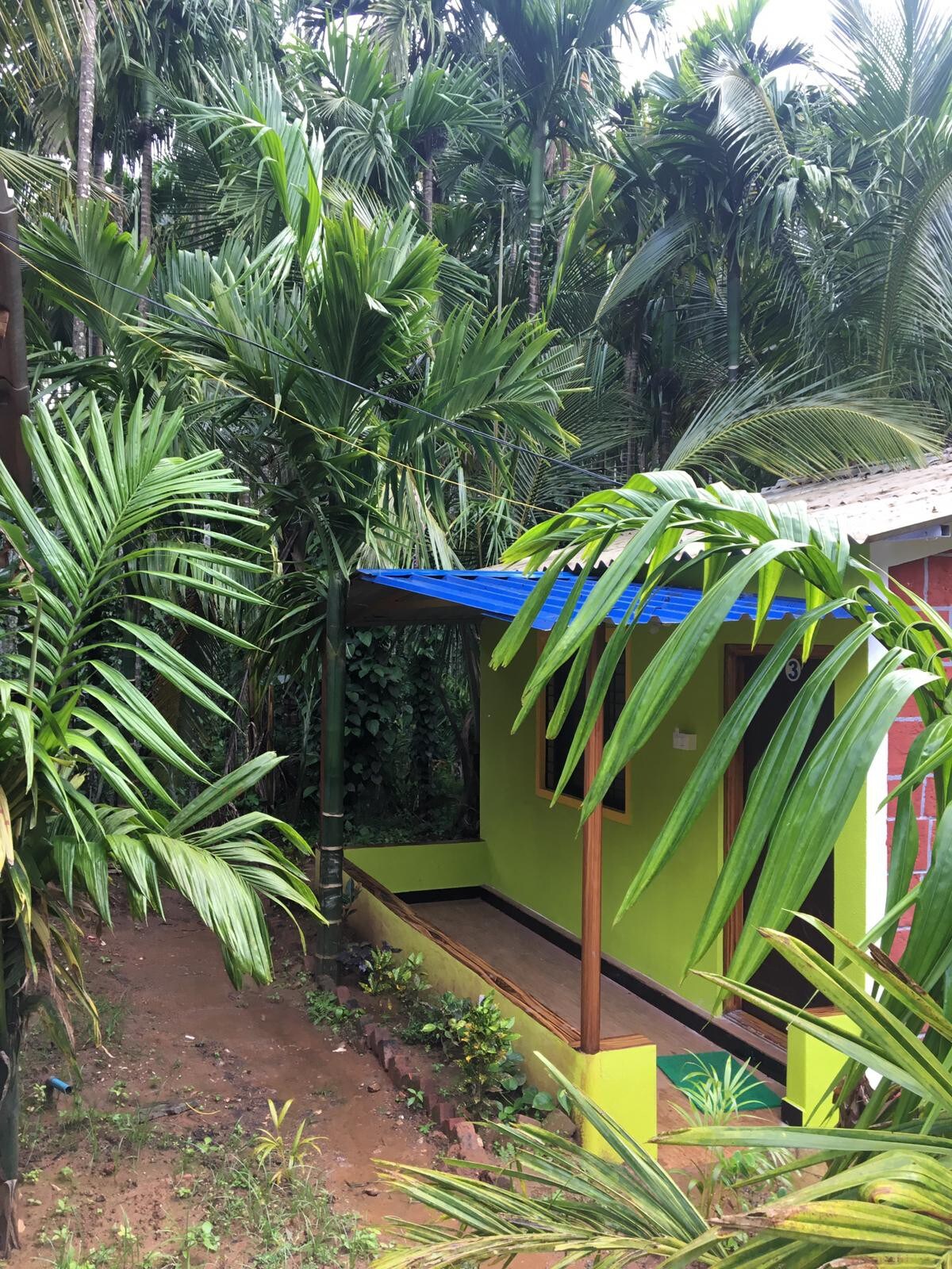 Dandeli lemon tree jungle stay