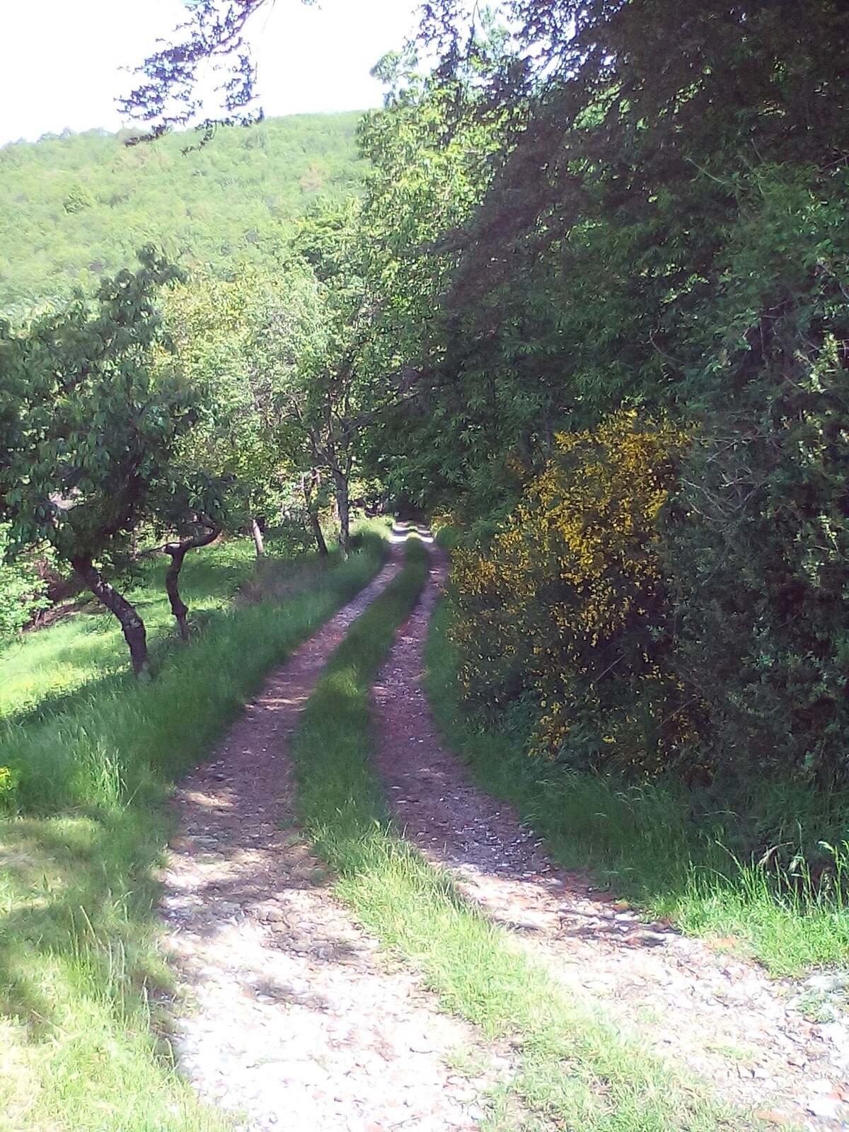 Casa nel bosco a 10 minuti da Pistoia