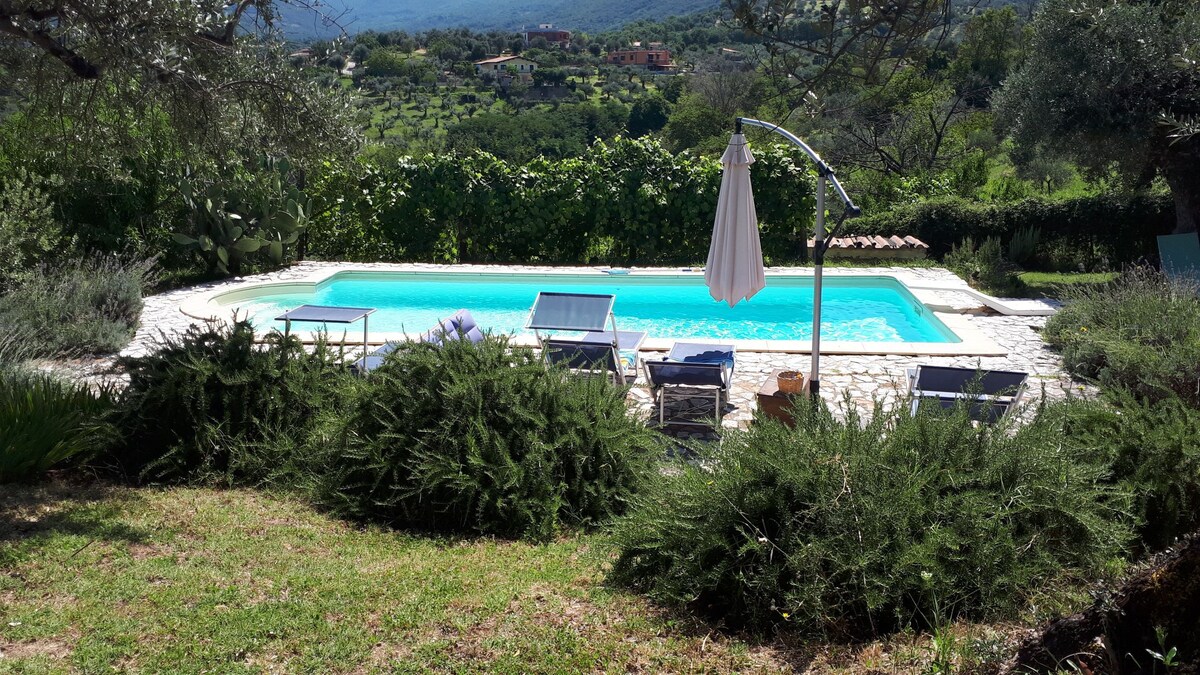 别墅位于橄榄树林中，设有游泳池。
