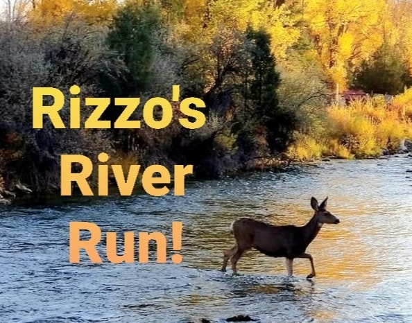 Rizzo 's River Run - 2张床， 1个卫生间，全功能客栈