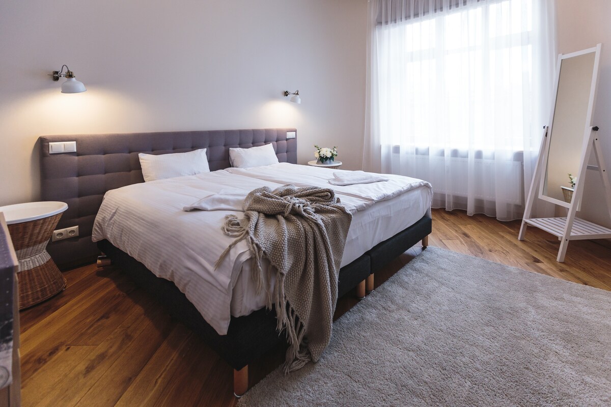 RIGA LUX APARTMENTS - SKOLAS: Premium one bedroom